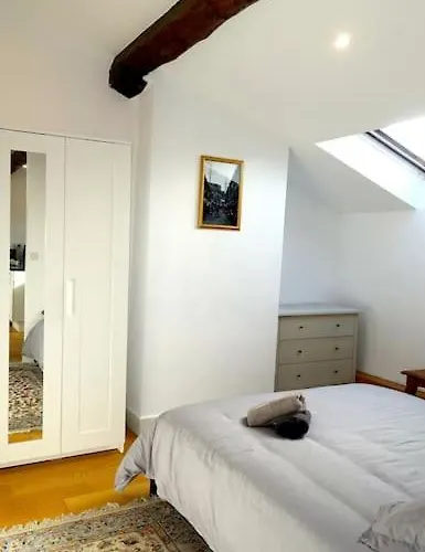 Clim-ascenseur T2 Capitole A 5' Gare A 7'